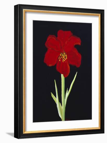 Amaryllis-Soraya Chemaly-Framed Giclee Print