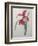 Amaryllis-Pierre-Joseph Redoute-Framed Art Print