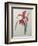 Amaryllis-Pierre-Joseph Redoute-Framed Art Print