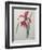 Amaryllis-Pierre-Joseph Redoute-Framed Art Print