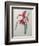 Amaryllis-Pierre-Joseph Redoute-Framed Premium Giclee Print