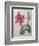 Amaryllis-Pierre-Joseph Redoute-Framed Premium Giclee Print