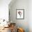 Amaryllis-null-Framed Giclee Print displayed on a wall