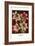 Amaryllis-Louis Van Houtte-Framed Premium Giclee Print