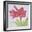 Amaryllis-Deborah Kopka-Framed Giclee Print