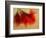 Amaryllis-Janet Slater-Framed Photographic Print