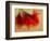 Amaryllis-Janet Slater-Framed Photographic Print