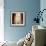 Amaryllis-Jill Deveraux-Framed Premium Giclee Print displayed on a wall