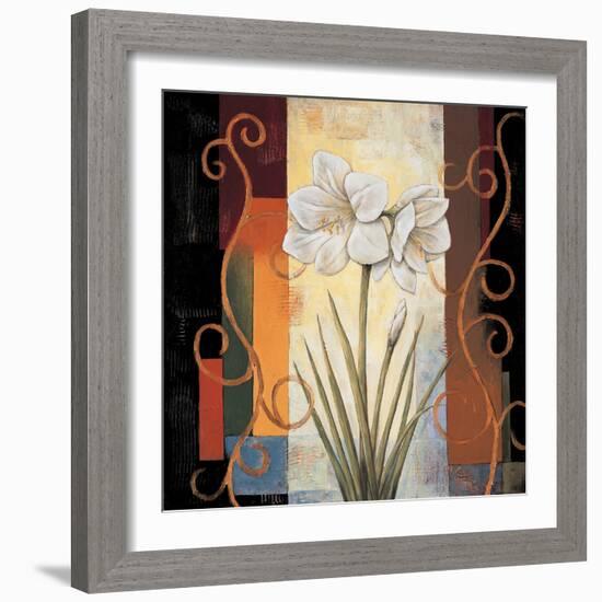 Amaryllis-Jill Deveraux-Framed Premium Giclee Print