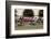 Amateur Men Bicyclists competing in the Garrett Lemire Memorial Grand Prix National Racing Circu...-null-Framed Photographic Print