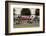 Amateur Men Bicyclists competing in the Garrett Lemire Memorial Grand Prix National Racing Circu...-null-Framed Photographic Print