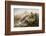 Amatola Mountains-Thomas Baines-Framed Photographic Print