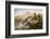 Amatola Mountains-Thomas Baines-Framed Photographic Print