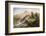 Amatola Mountains-Thomas Baines-Framed Photographic Print