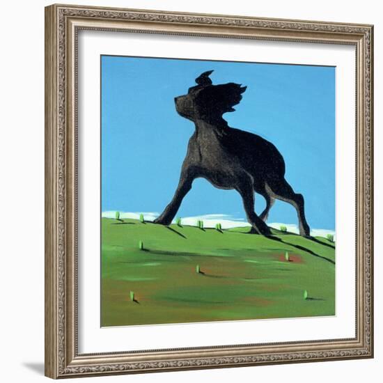Amazing Black Dog, 2000-Marjorie Weiss-Framed Giclee Print