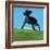 Amazing Black Dog, 2000-Marjorie Weiss-Framed Giclee Print