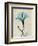 Amazing Hibiscus-Albert Koetsier-Framed Art Print