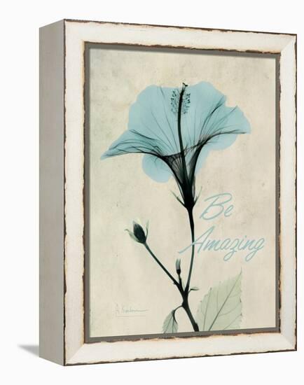 Amazing Hibiscus-Albert Koetsier-Framed Stretched Canvas