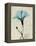 Amazing Hibiscus-Albert Koetsier-Framed Stretched Canvas