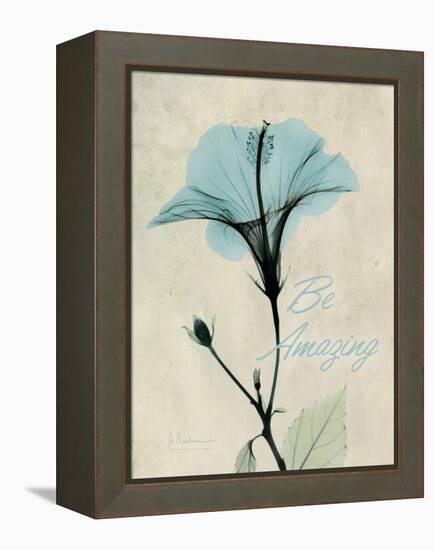 Amazing Hibiscus-Albert Koetsier-Framed Stretched Canvas