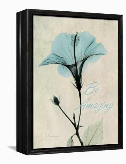 Amazing Hibiscus-Albert Koetsier-Framed Stretched Canvas