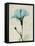 Amazing Hibiscus-Albert Koetsier-Framed Stretched Canvas