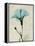 Amazing Hibiscus-Albert Koetsier-Framed Stretched Canvas