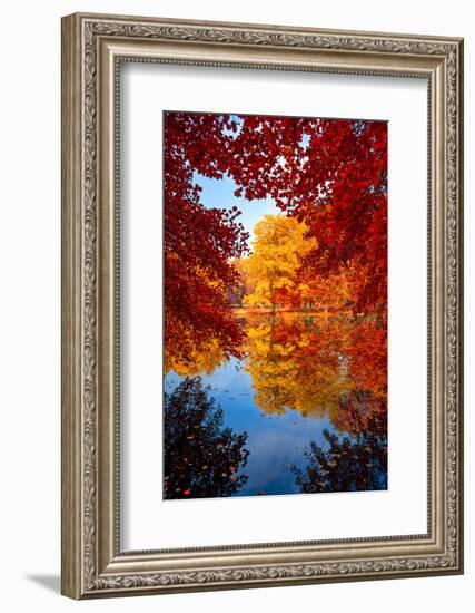 Amazing Love-Philippe Sainte-Laudy-Framed Photographic Print