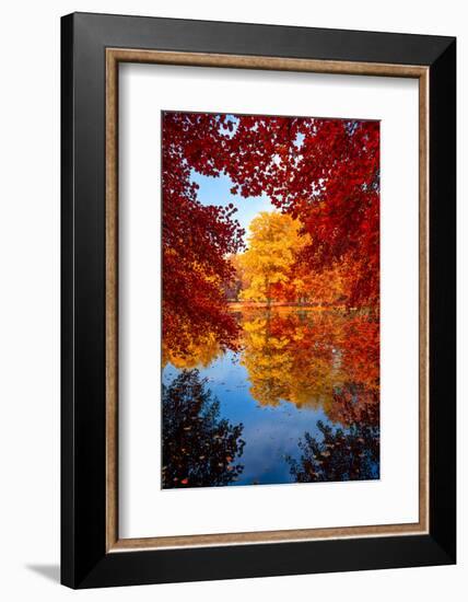 Amazing Love-Philippe Sainte-Laudy-Framed Photographic Print