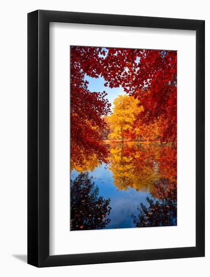 Amazing Love-Philippe Sainte-Laudy-Framed Photographic Print