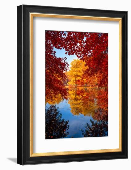 Amazing Love-Philippe Sainte-Laudy-Framed Photographic Print