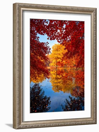 Amazing Love-Philippe Sainte-Laudy-Framed Photographic Print