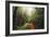 Amazing Misty John Muir Woods Coastal Trail, San Francisco Bay Area-Vincent James-Framed Premium Photographic Print