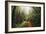 Amazing Misty John Muir Woods Coastal Trail, San Francisco Bay Area-Vincent James-Framed Premium Photographic Print