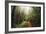 Amazing Misty John Muir Woods Coastal Trail, San Francisco Bay Area-Vincent James-Framed Photographic Print