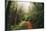 Amazing Misty John Muir Woods Coastal Trail, San Francisco Bay Area-Vincent James-Mounted Photographic Print