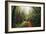 Amazing Misty John Muir Woods Coastal Trail, San Francisco Bay Area-Vincent James-Framed Photographic Print