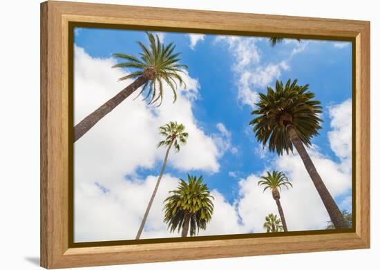Amazing Palm Tree in Beverly Hills, California - USA-Frazao-Framed Premier Image Canvas