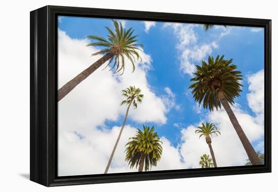 Amazing Palm Tree in Beverly Hills, California - USA-Frazao-Framed Premier Image Canvas