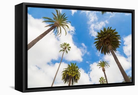 Amazing Palm Tree in Beverly Hills, California - USA-Frazao-Framed Premier Image Canvas