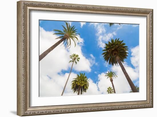 Amazing Palm Tree in Beverly Hills, California - USA-Frazao-Framed Photographic Print