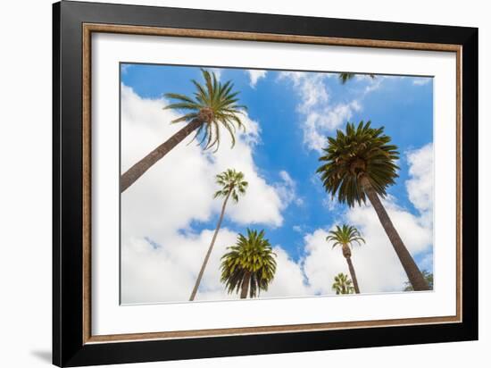 Amazing Palm Tree in Beverly Hills, California - USA-Frazao-Framed Photographic Print
