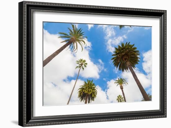 Amazing Palm Tree in Beverly Hills, California - USA-Frazao-Framed Photographic Print