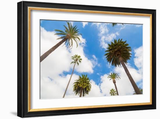 Amazing Palm Tree in Beverly Hills, California - USA-Frazao-Framed Photographic Print