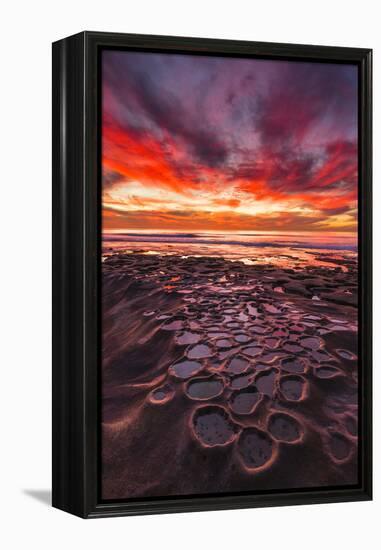 Amazing Sunset at the Tide Pools in La Jolla, Ca-Andrew Shoemaker-Framed Premier Image Canvas