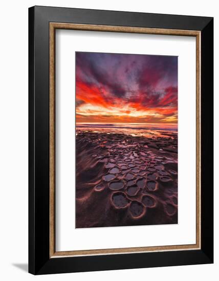 Amazing Sunset at the Tide Pools in La Jolla, Ca-Andrew Shoemaker-Framed Photographic Print