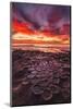 Amazing Sunset at the Tide Pools in La Jolla, Ca-Andrew Shoemaker-Mounted Photographic Print