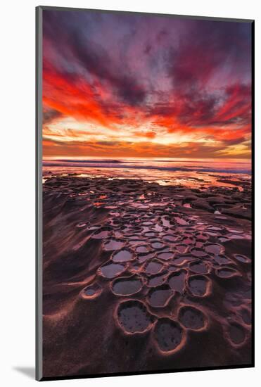 Amazing Sunset at the Tide Pools in La Jolla, Ca-Andrew Shoemaker-Mounted Photographic Print