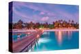 Stretched Canvas Print