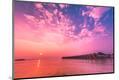 Premium Photographic Print